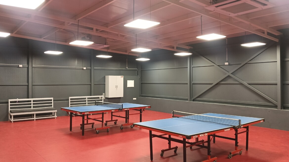 Table Tennis Arena