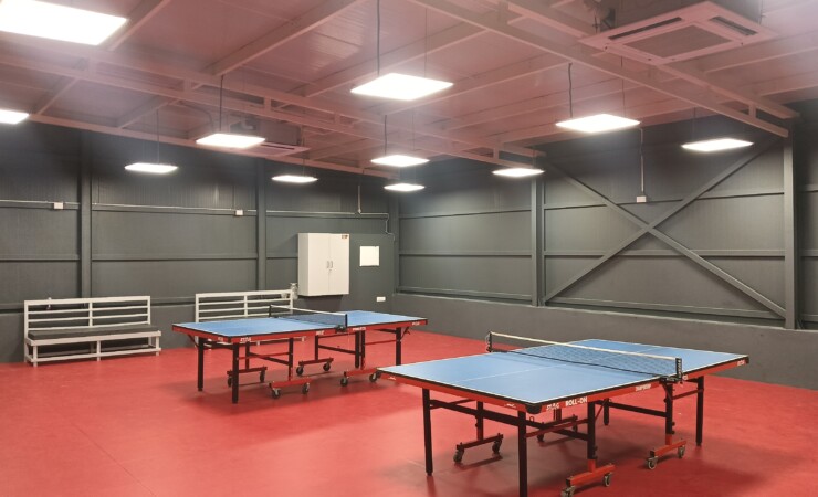 Table Tennis Arena